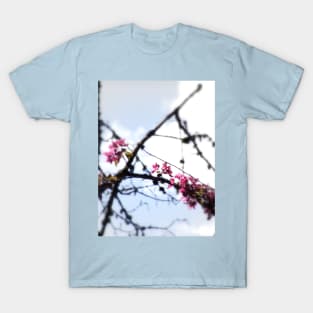 red Malus Radiant crab apple blossoms #7 T-Shirt